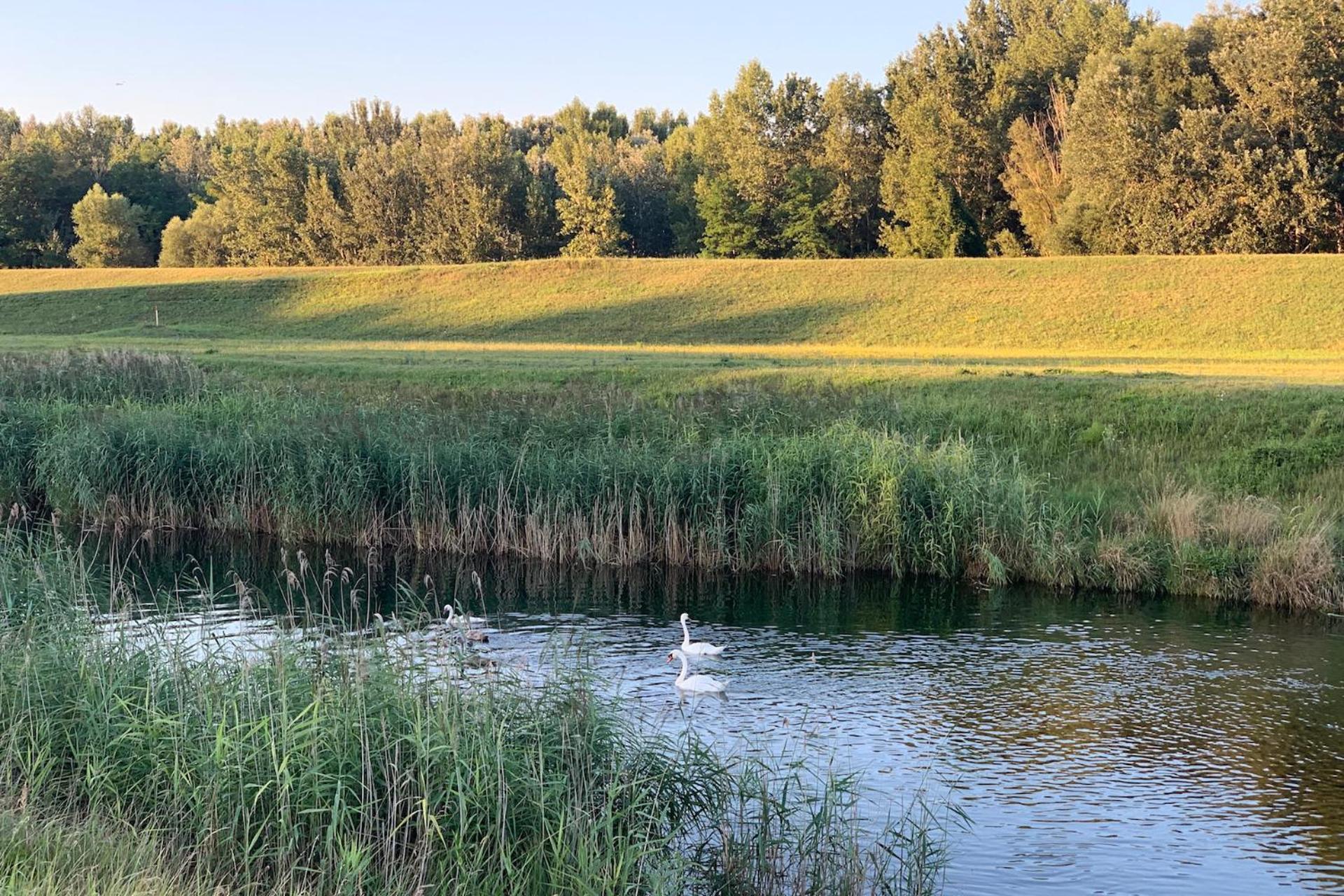 Hotel Ponteo - Activity Park Bratysława Zewnętrze zdjęcie